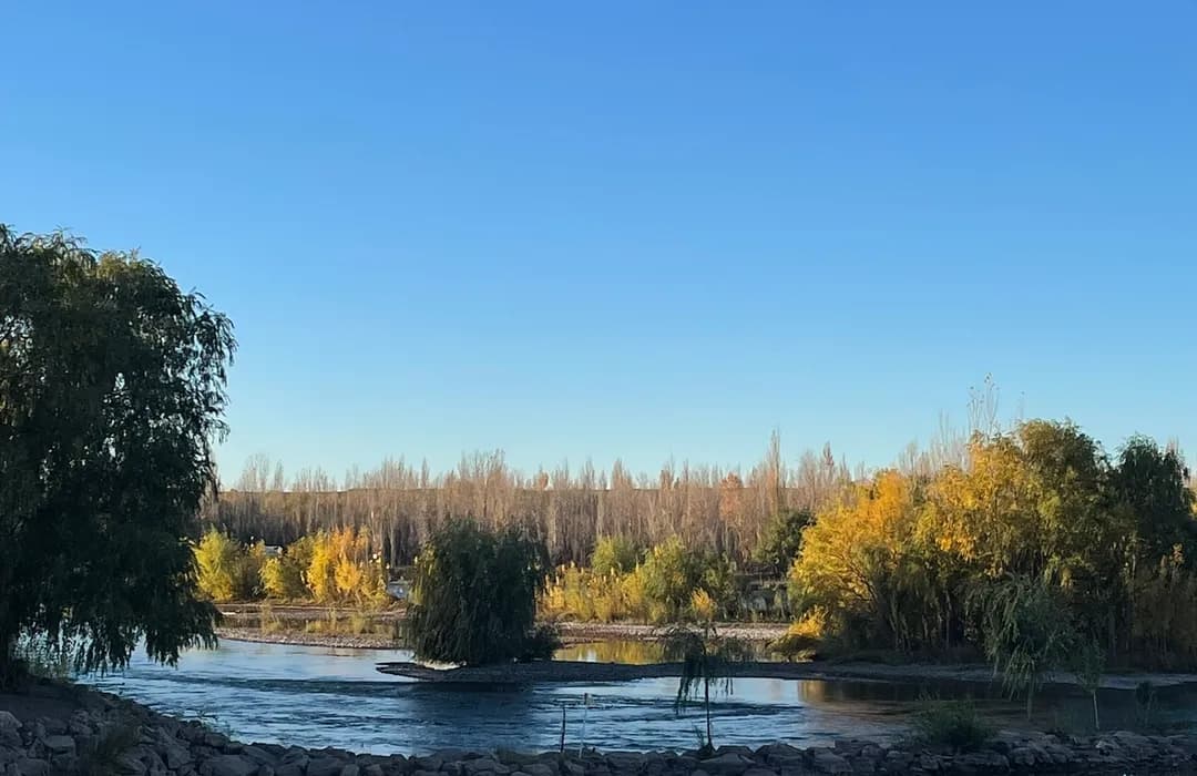 Ribera arbolada del río Limay en Neuquén